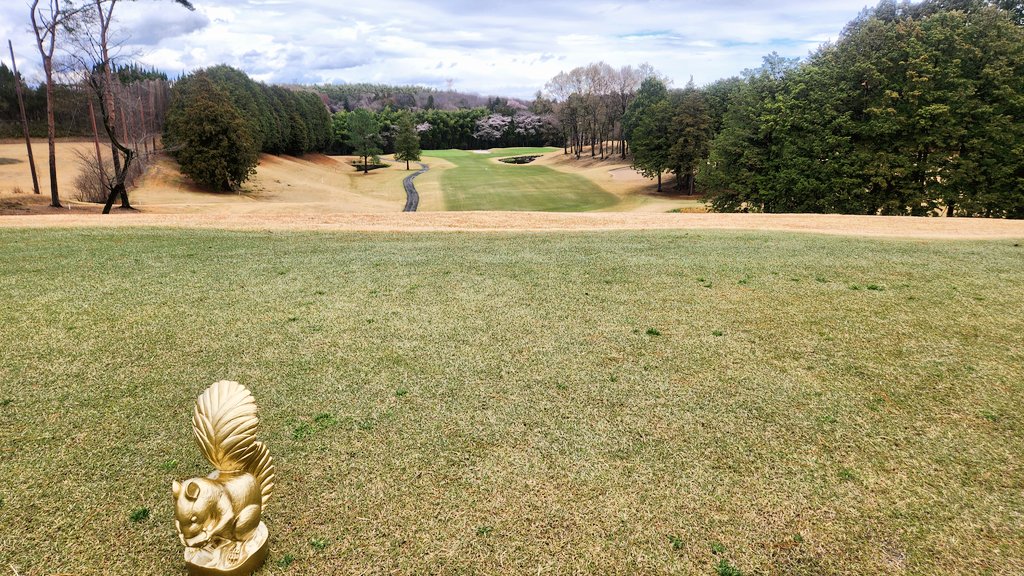 ミコ★miko★ゴルフ⛳ tweet media