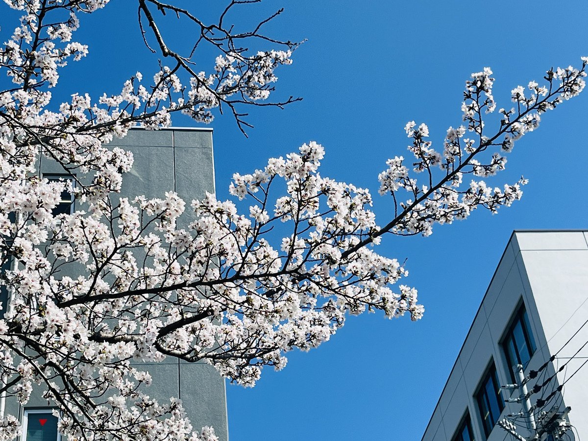 きっころ🧸🫧 tweet media