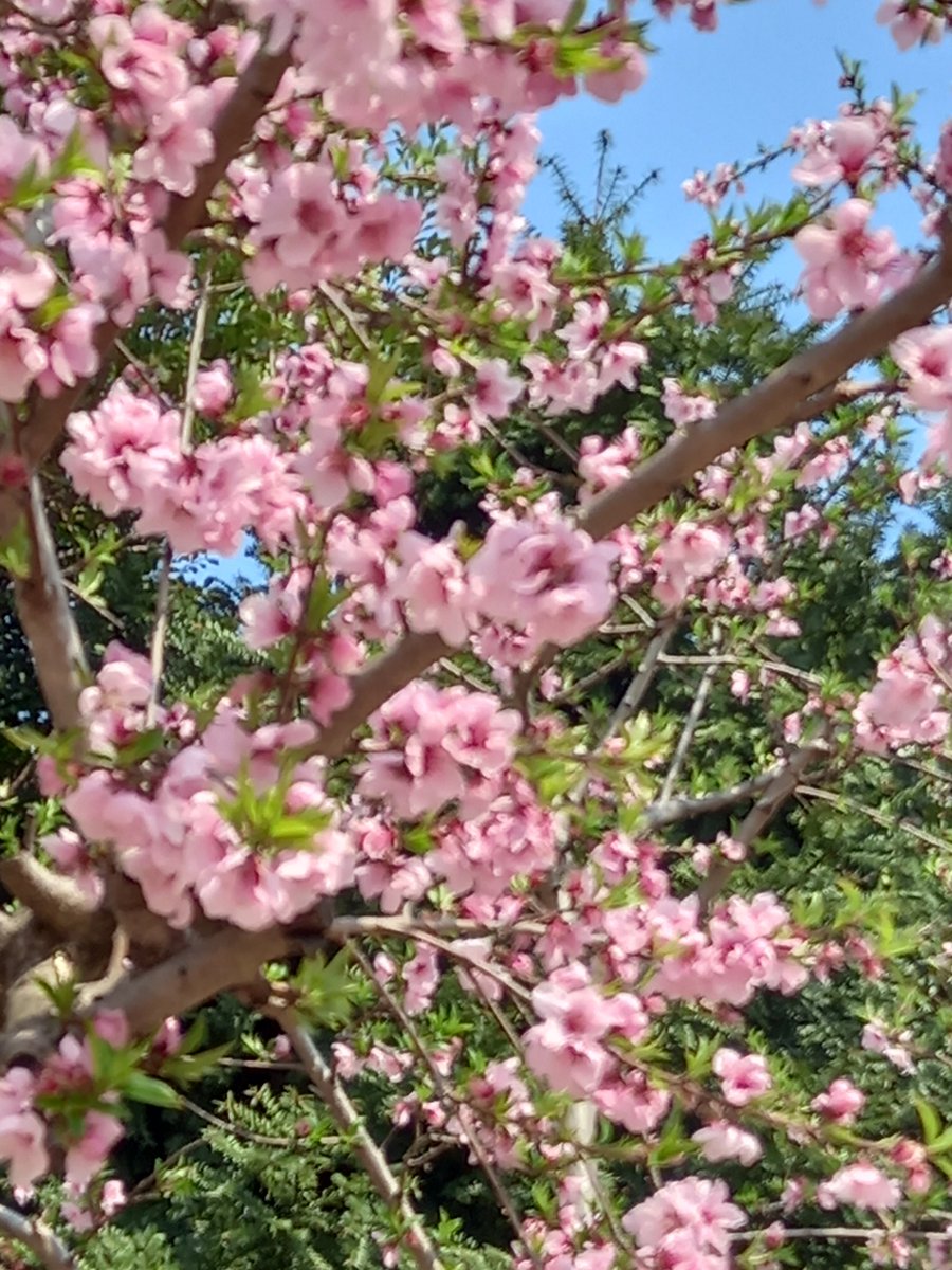 /sd_블제 tweet media