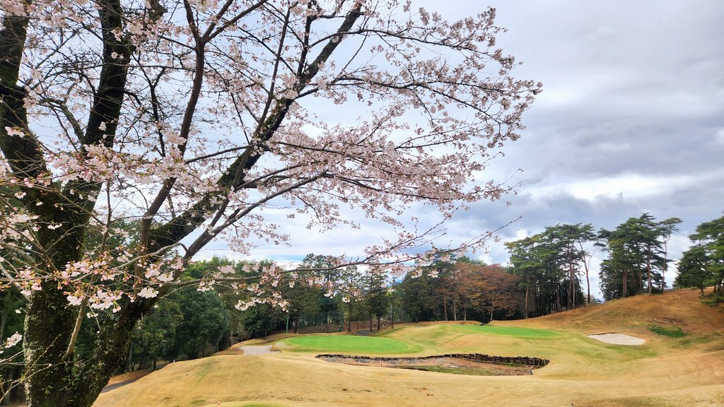 ミコ★miko★ゴルフ⛳ tweet media