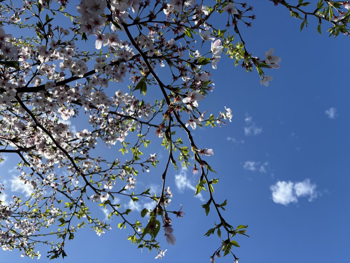 すっぱか@PUBG垢 tweet media