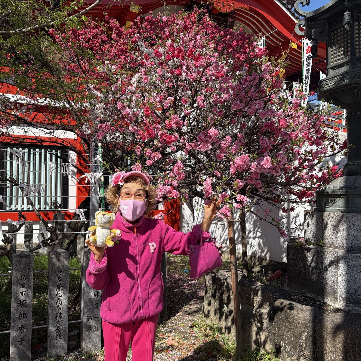 林家ペー【公式】 tweet media