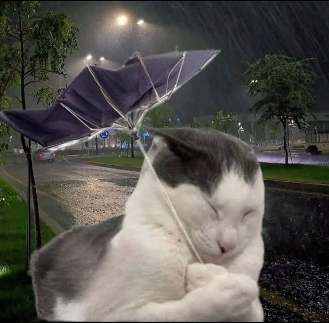 Quan DING DING 👩🏻🎨👩🏻🏫👩🏻💻 tweet media