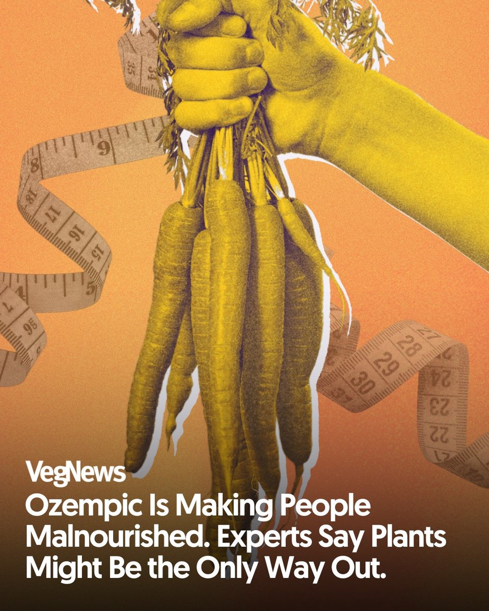VegNews's tweet photo. One in eight Americans has either used or is currently using a GLP-1 weight loss drug, but they're not without their drawbacks.
https://t.co/4UTYzYKtjm https://t.co/JZBoIIHAO6
