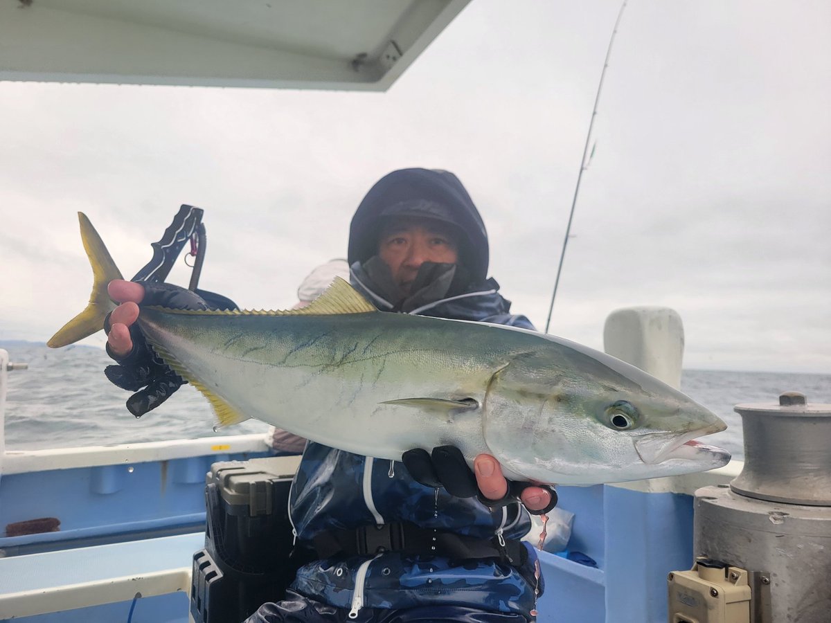 杉本　光 tweet media