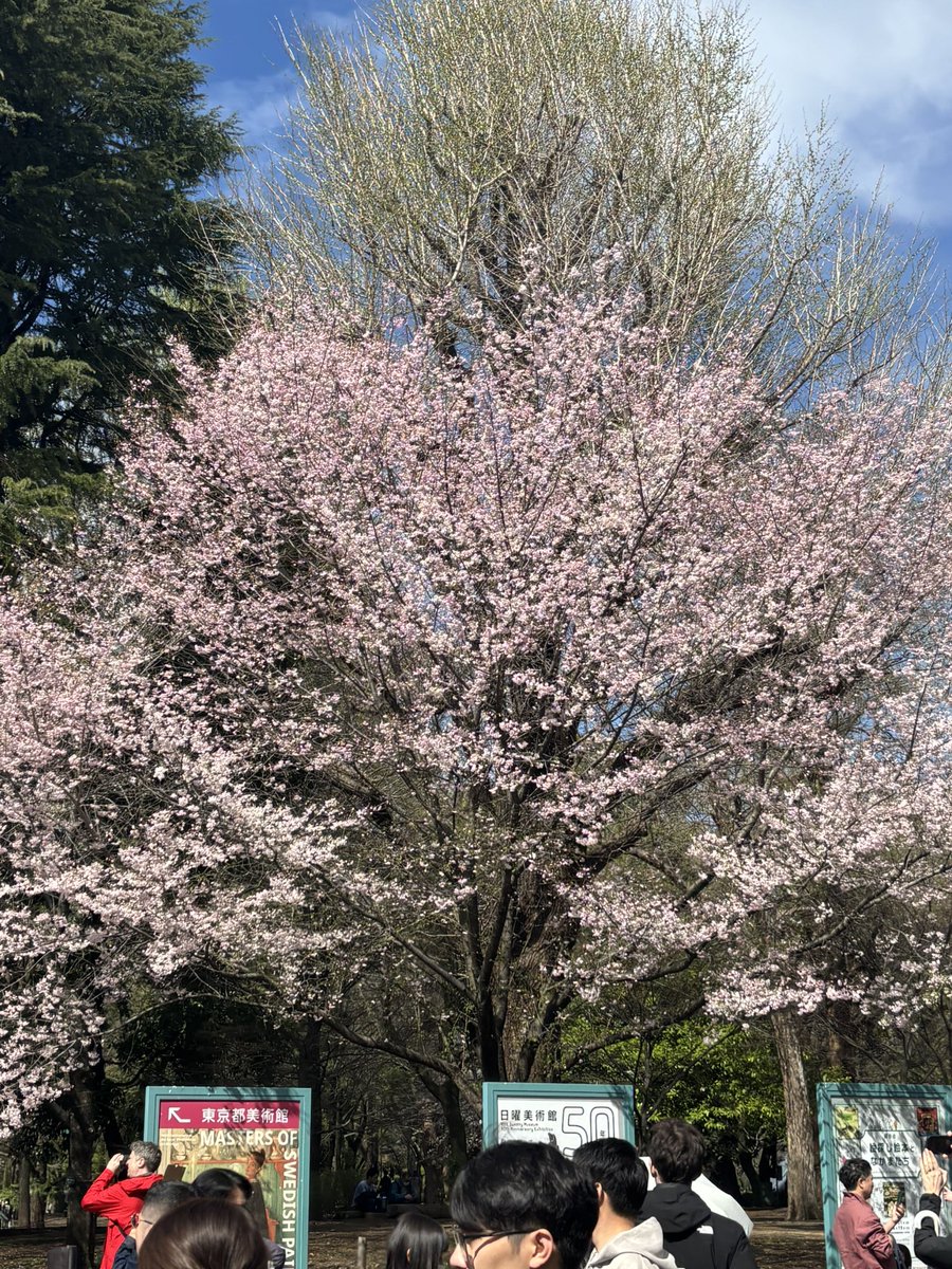 天花粉 tweet media