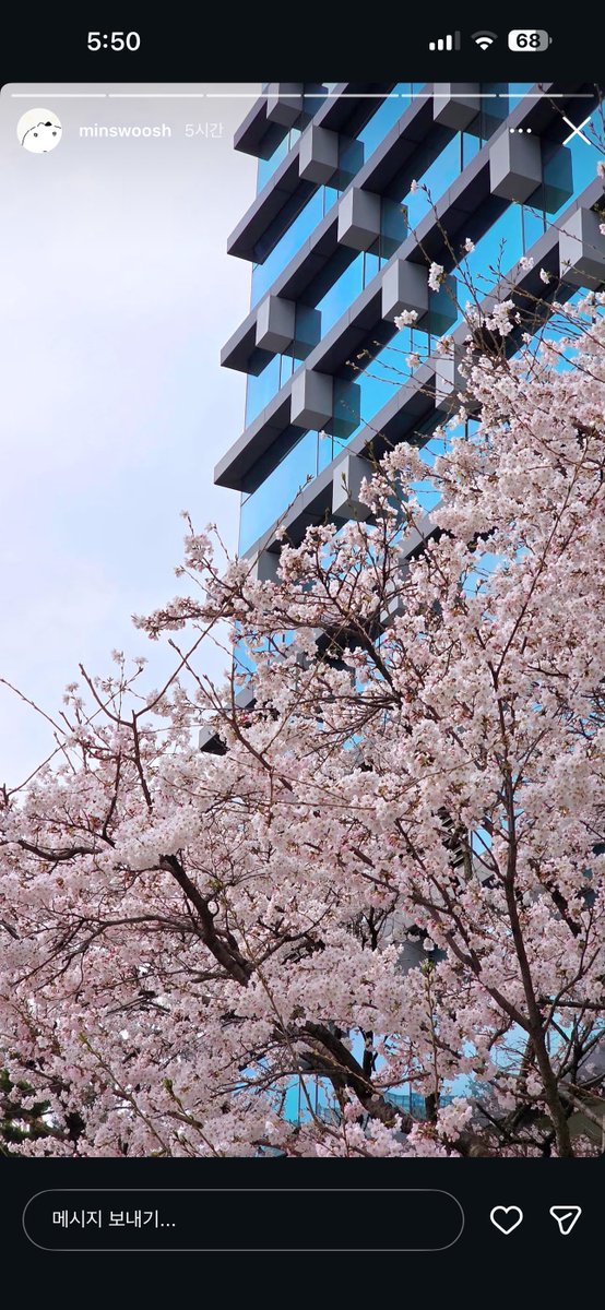 🫠라쵸쵸 ₍ᐢ › ༝ ‹ ᐢ₎⊹🫠 tweet media