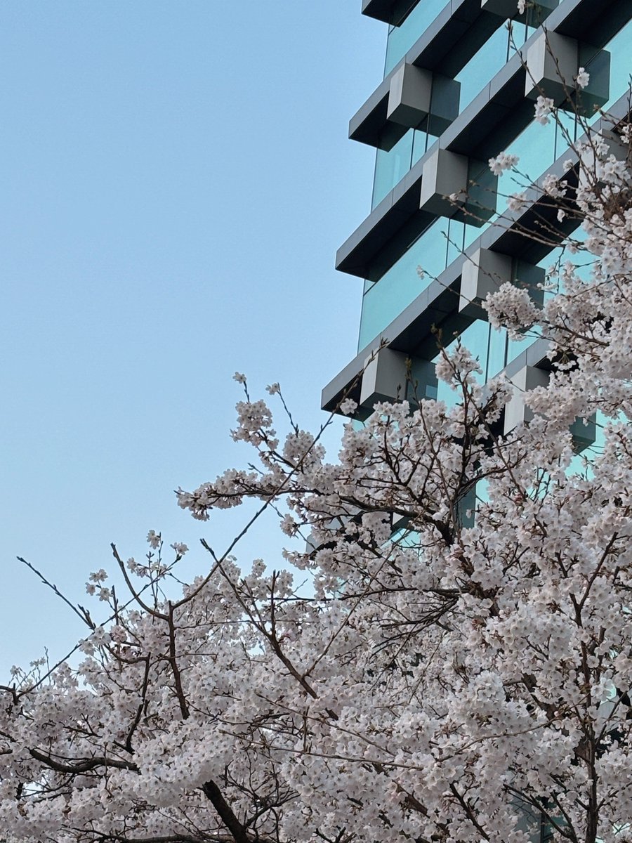 🫠라쵸쵸 ₍ᐢ › ༝ ‹ ᐢ₎⊹🫠 tweet media