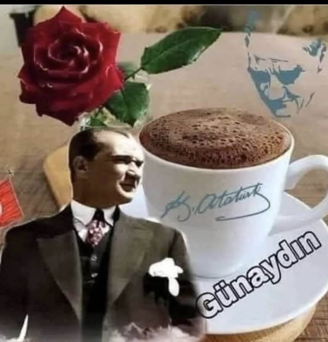 Mehmet Özgün tweet media