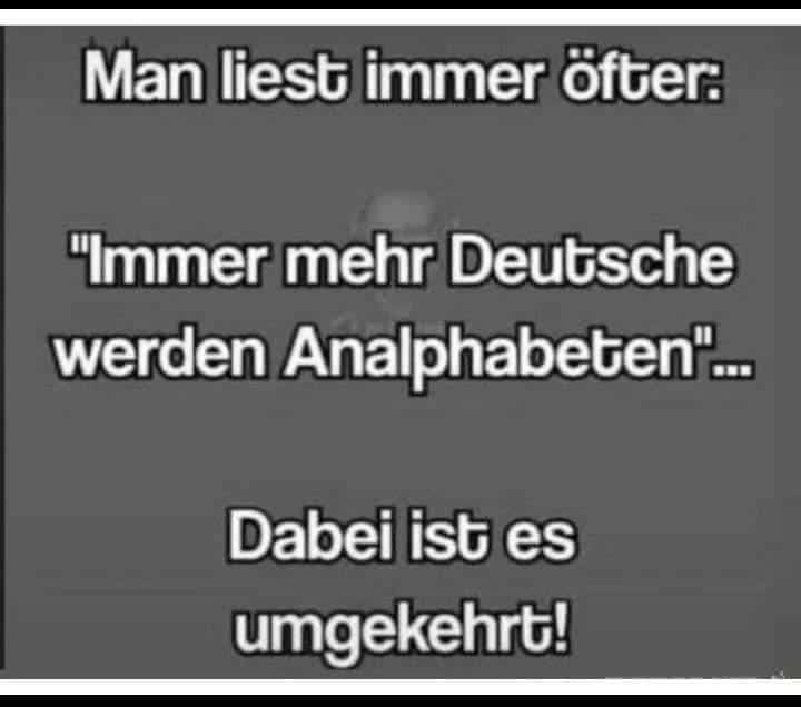 Bully 🇩🇪 tweet media