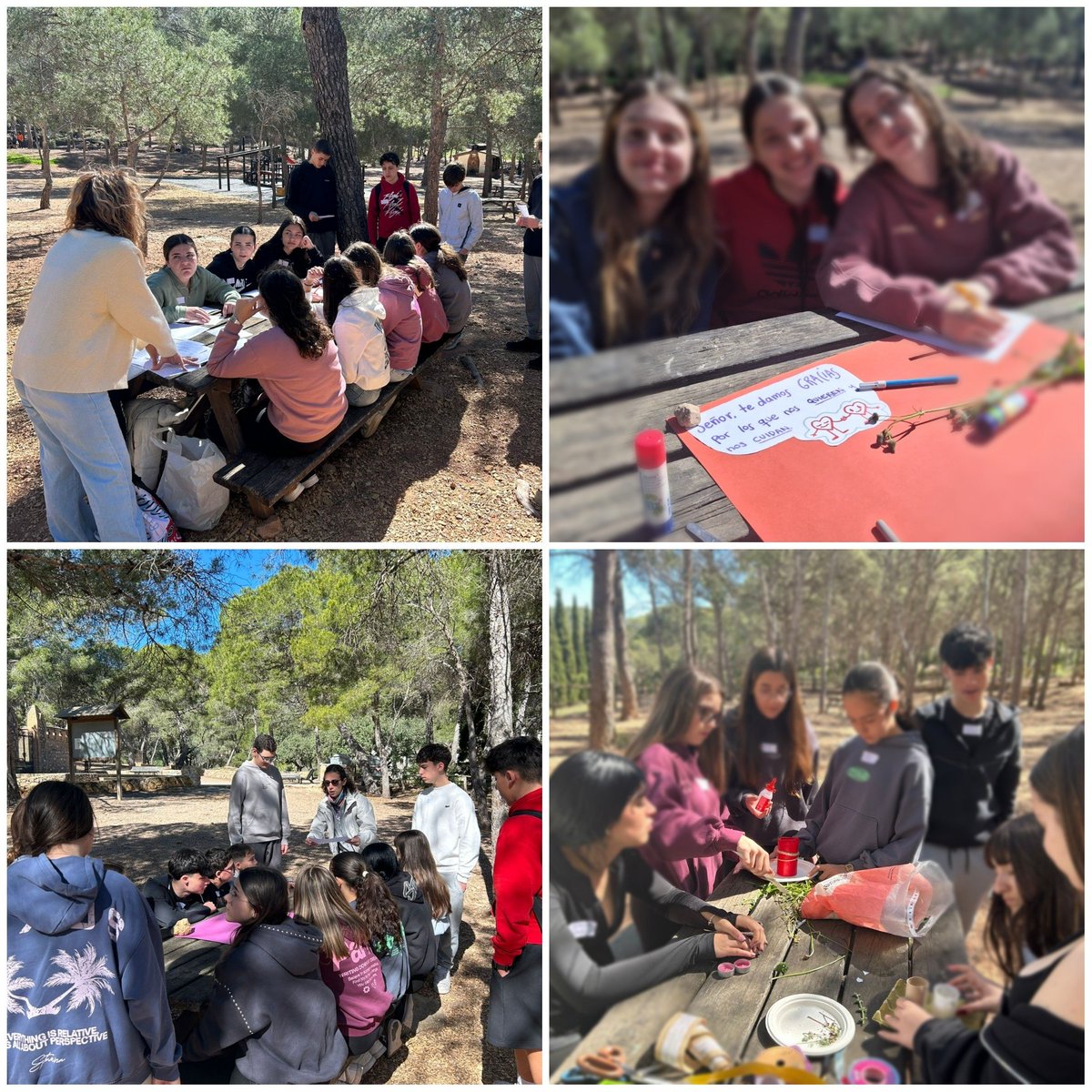 María Inmaculada PS tweet media