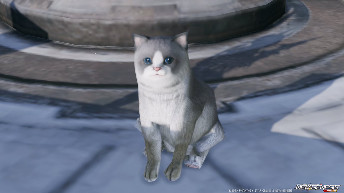 るばこ tweet media