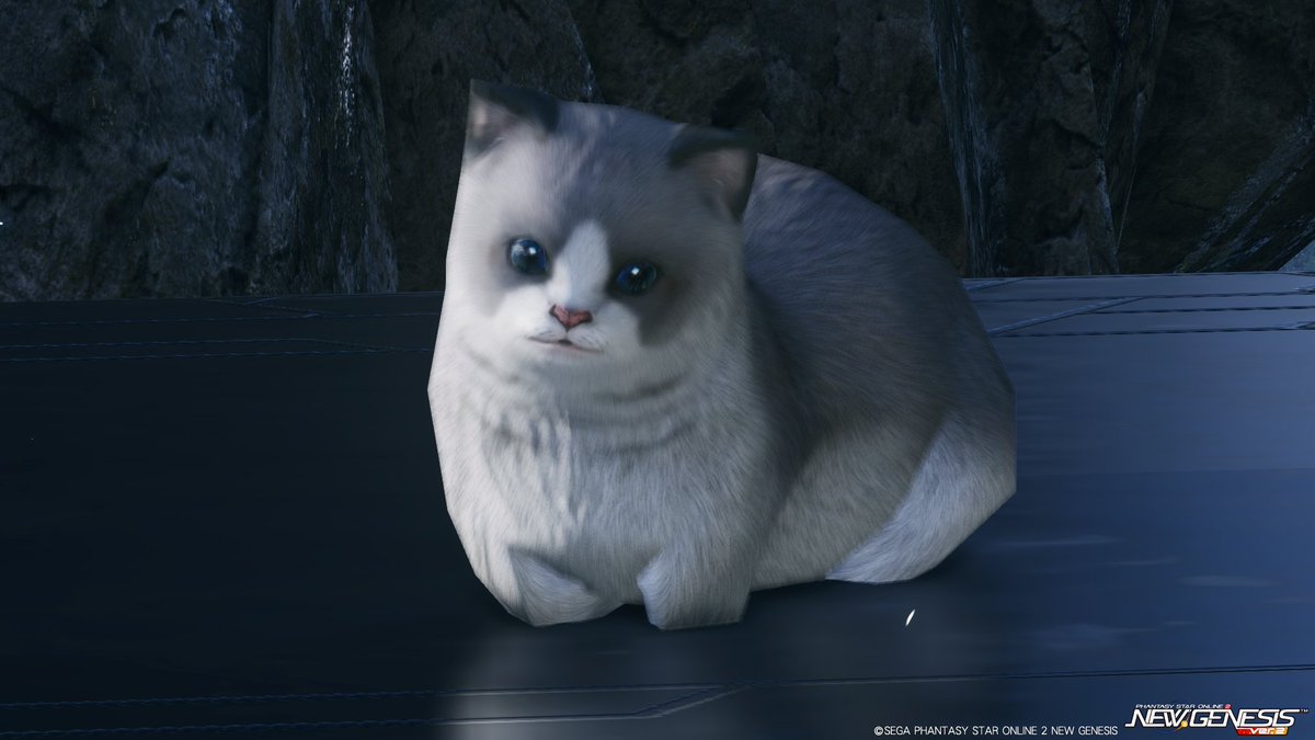 るばこ tweet media