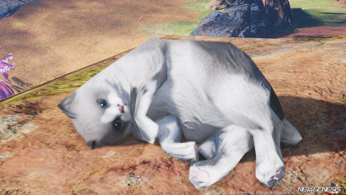 るばこ tweet media