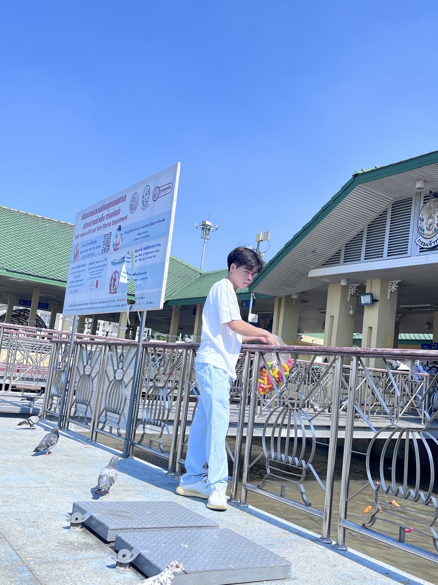 Tiger😋😋 tweet media