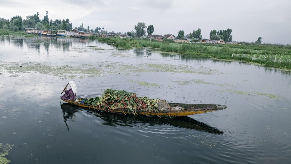 KalyaniMuktevi's tweet image. Let's see your boat/ship captures! This one is  from  Srinagar #JammuKashmir #boat #PhotographyTips