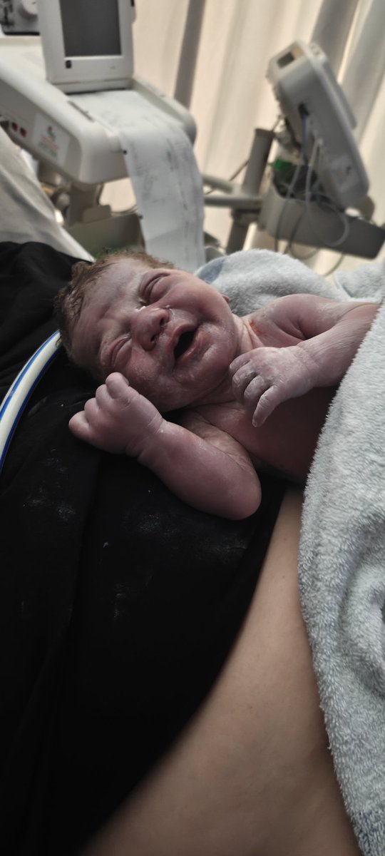 RedCam97's tweet photo. The most extraordinary experience of my life ❤️

Welcome Archie! https://t.co/DfiYHwVbCL