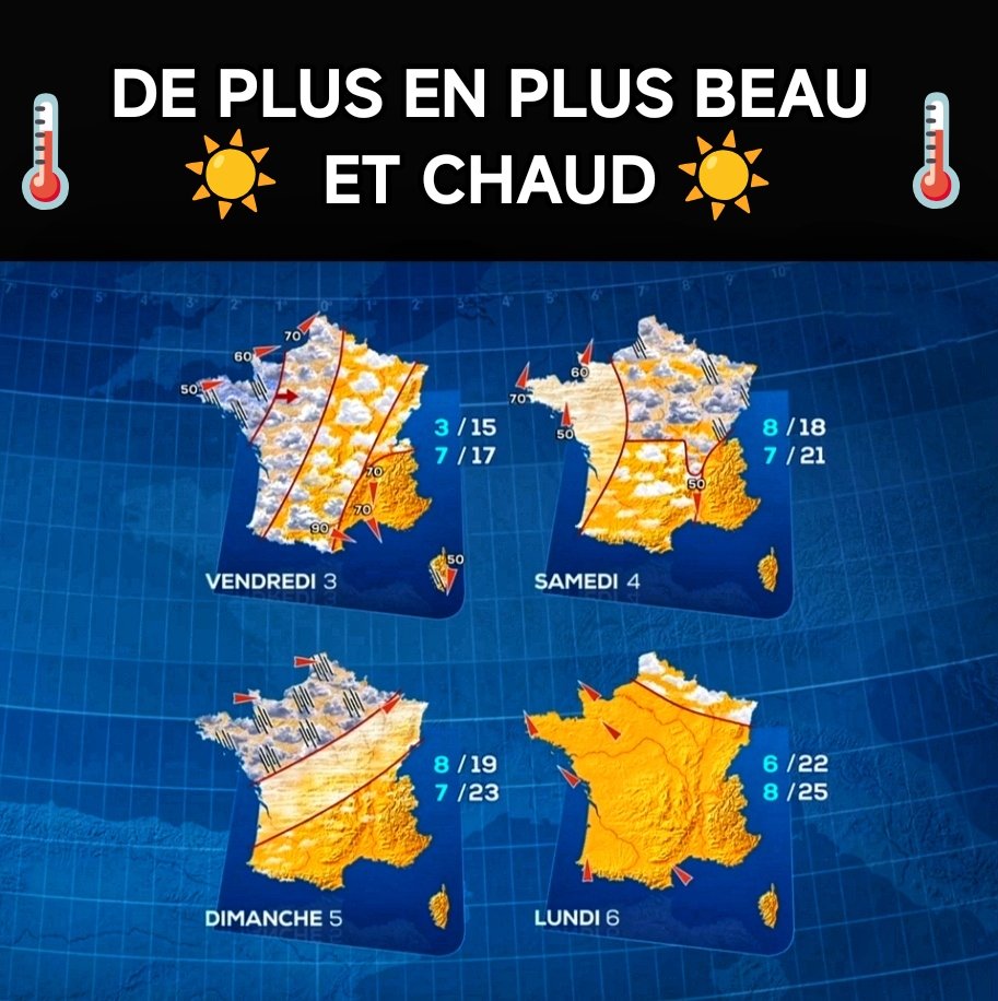 ☀️Chris bbt tweet media