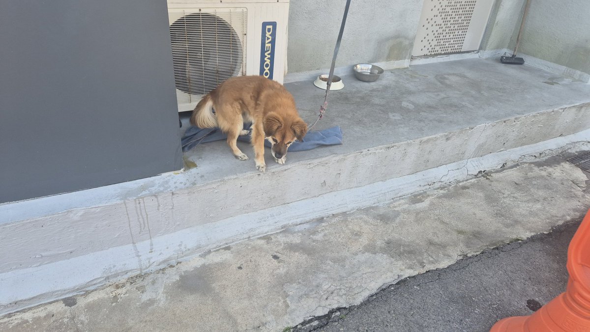 밀표과(NSFW주의) tweet media