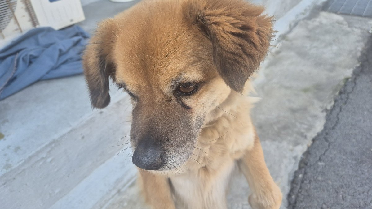 밀표과(NSFW주의) tweet media