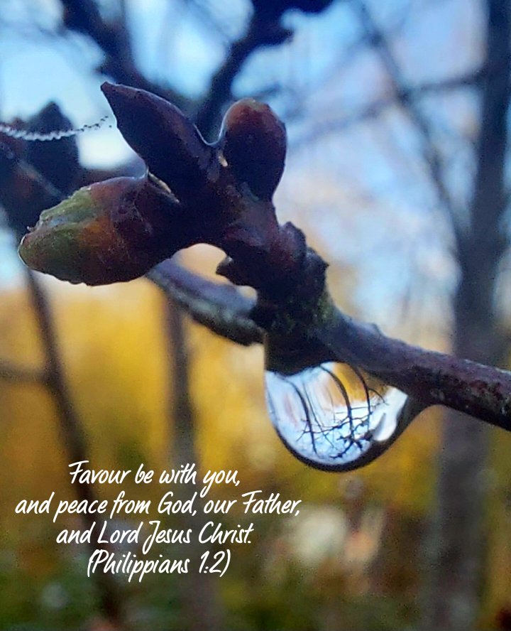 Christianhaiku1's tweet photo. Favour be with you, 
and peace from God, our Father,
and Lord Jesus Christ. 
(Philippians 1:2)
#Godisgood #photo #photography #nature #Jesuslovesyou #christians #Grace https://t.co/YboqtUbv8r