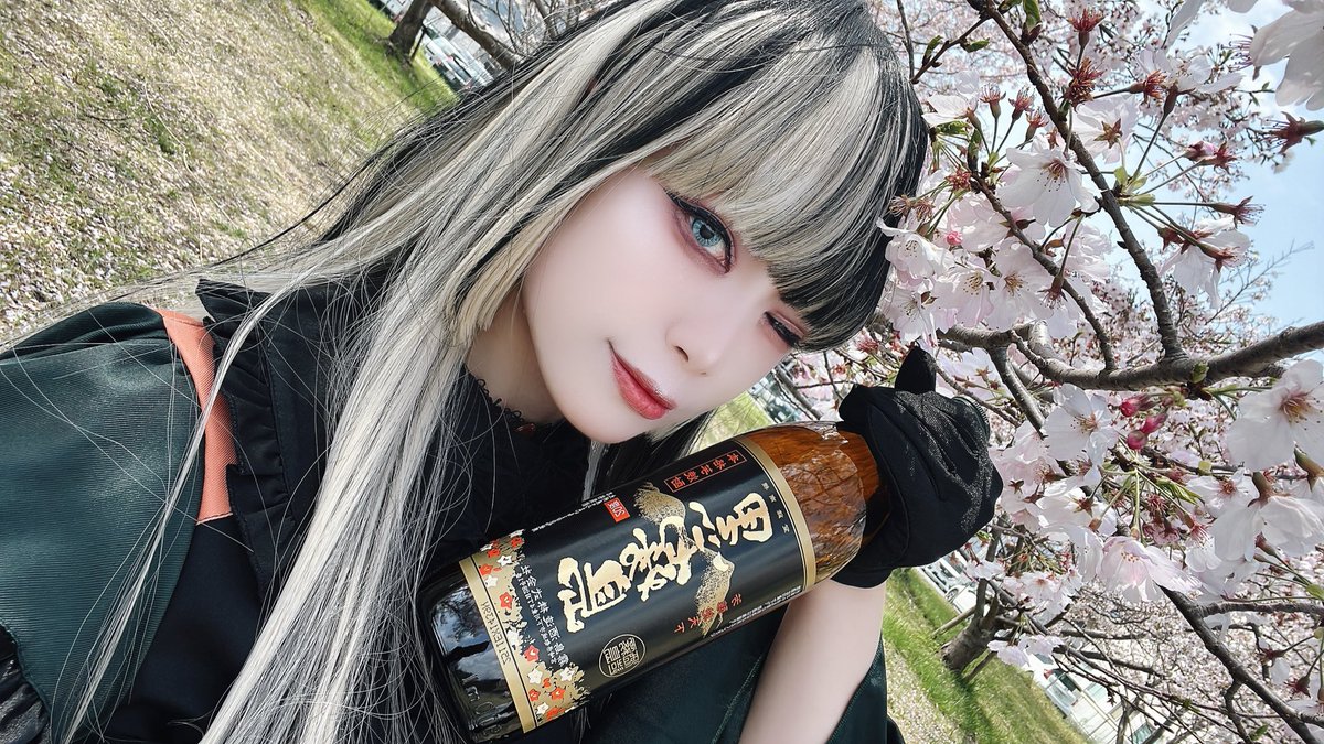 そくほー！2026年桜撮影！
前日土砂降りで焦ったけどなんとか晴れた😭❤️初出しらでんちゃんです🍶