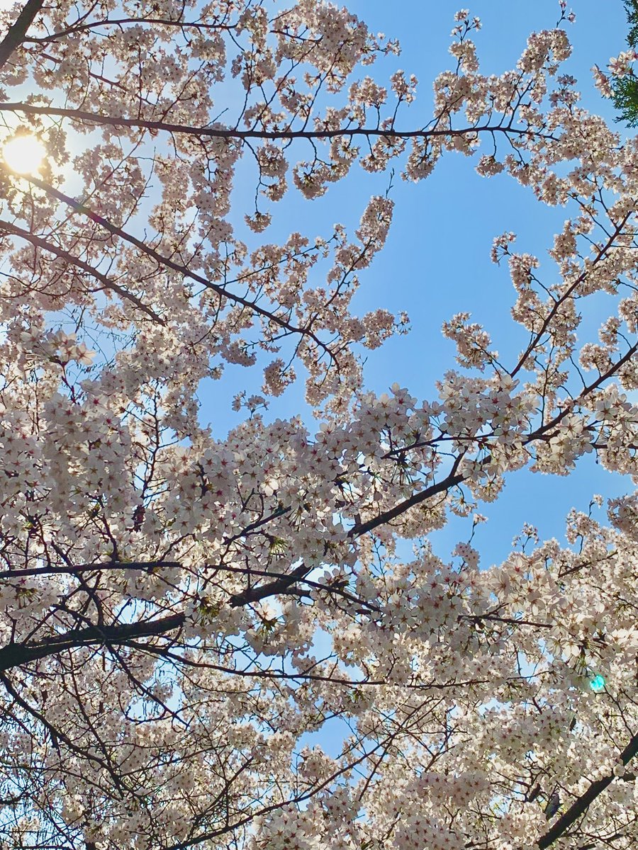 초람 ˖˚˳⊹ tweet media