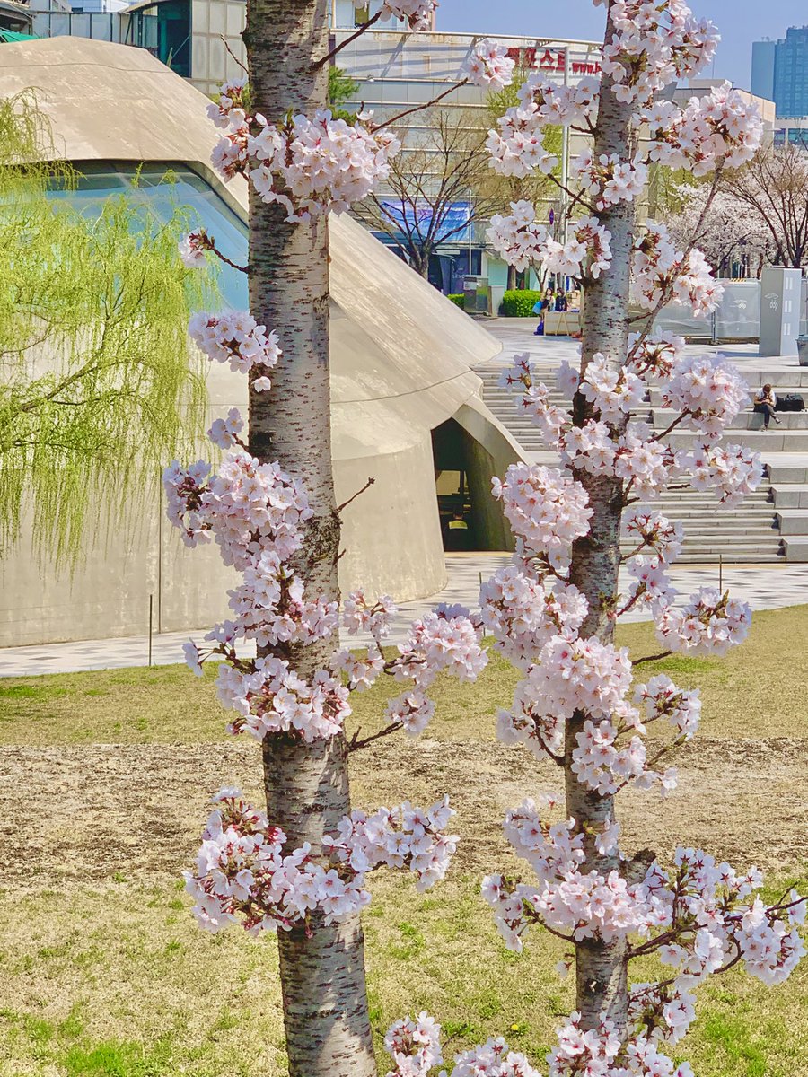 초람 ˖˚˳⊹ tweet media