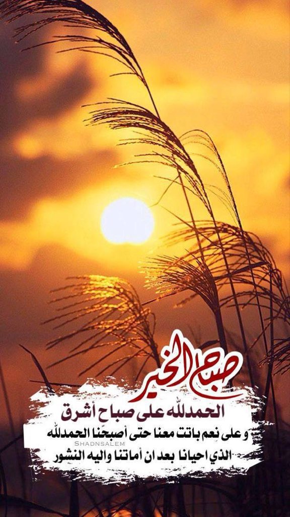 أبو غازي tweet media