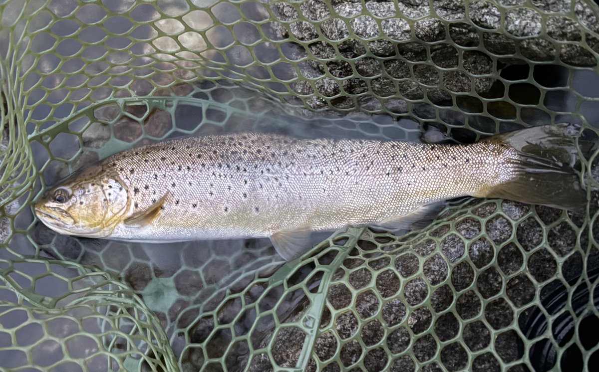 あっきー tweet media