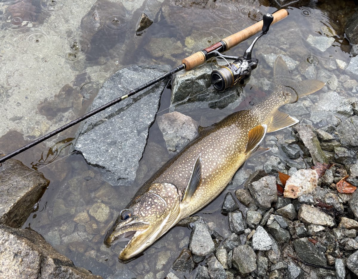 あっきー tweet media