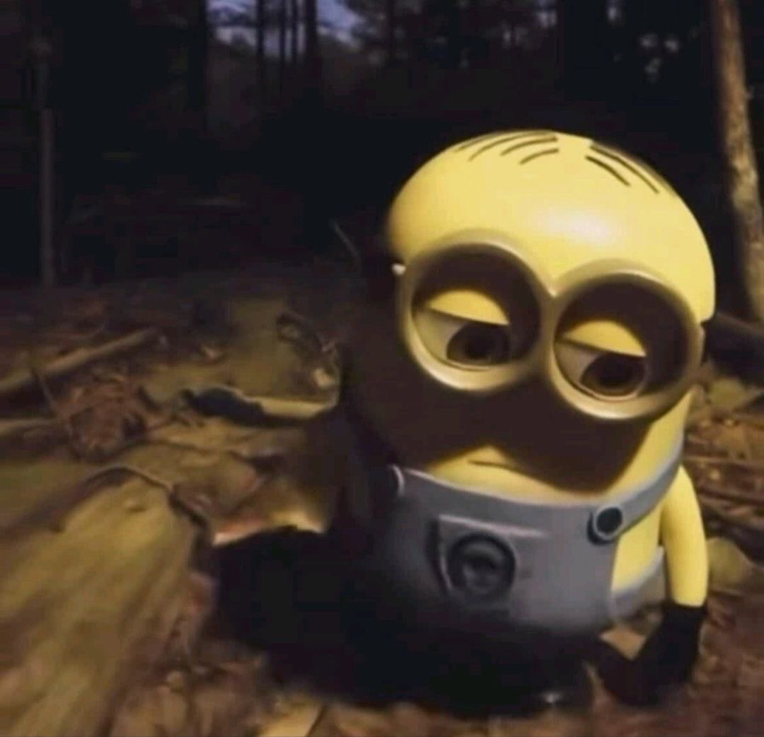 andrés. tweet media