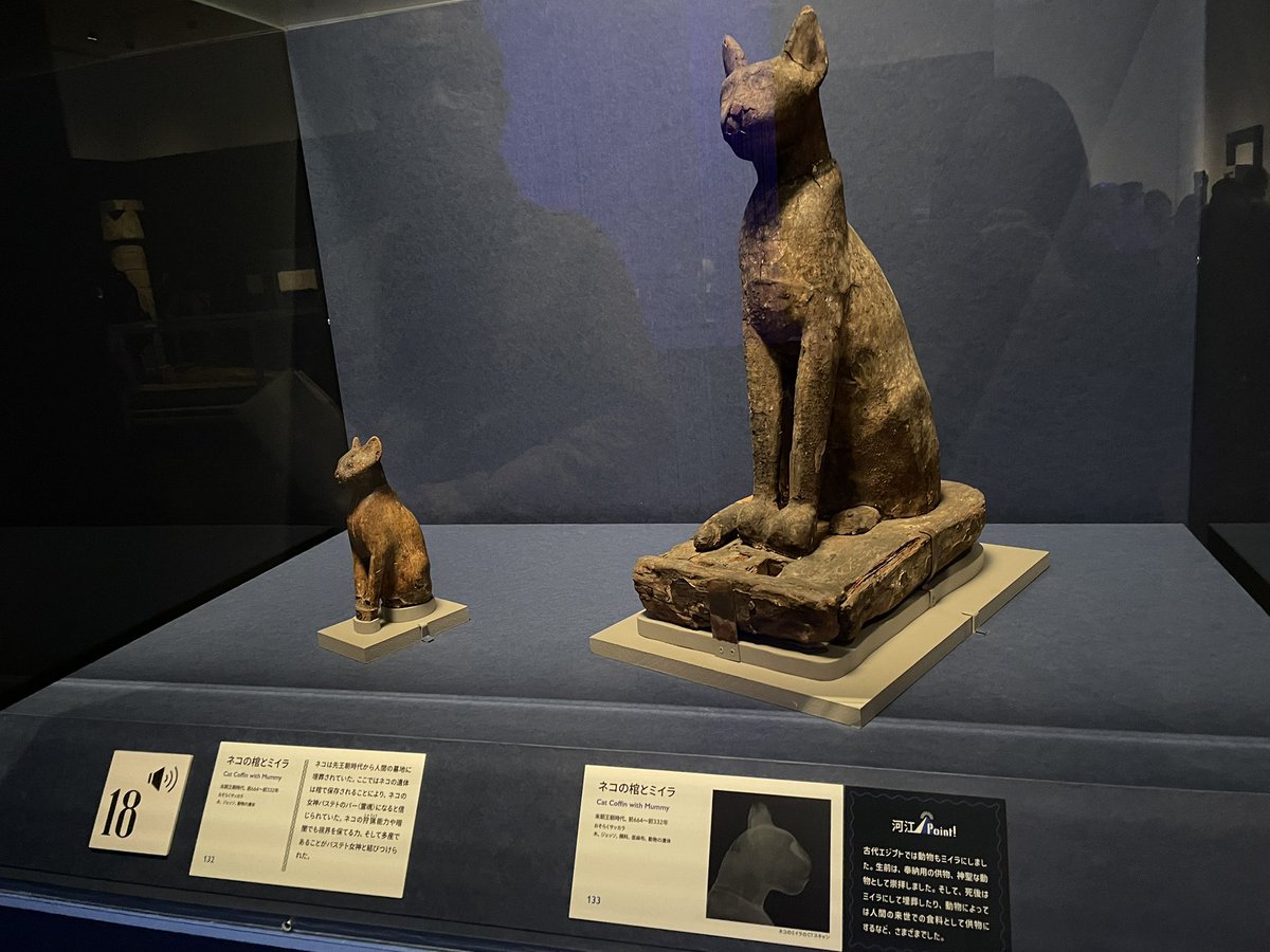 りふぁこ tweet media