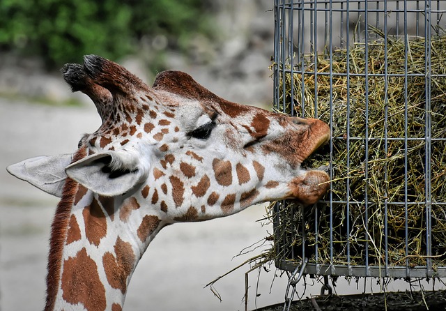 Sarah Ward tweet media