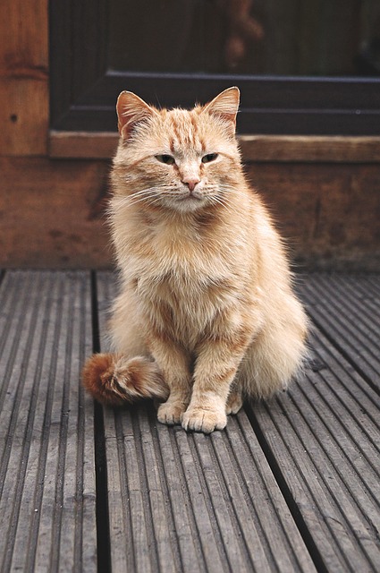 Sarah Nelson tweet media