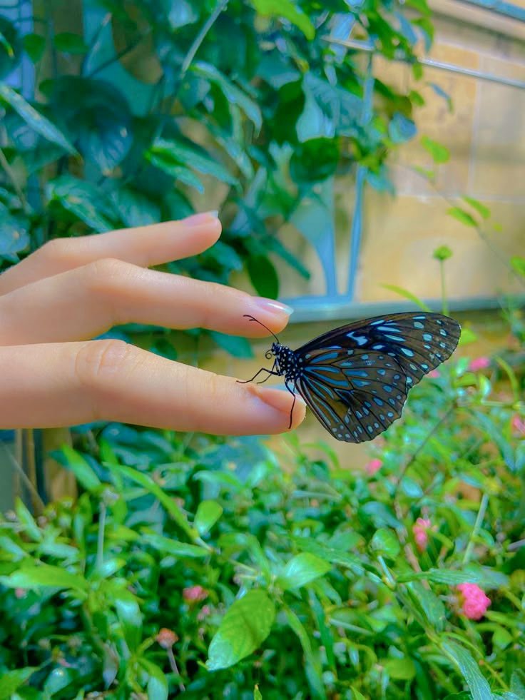 همسات أمال tweet media