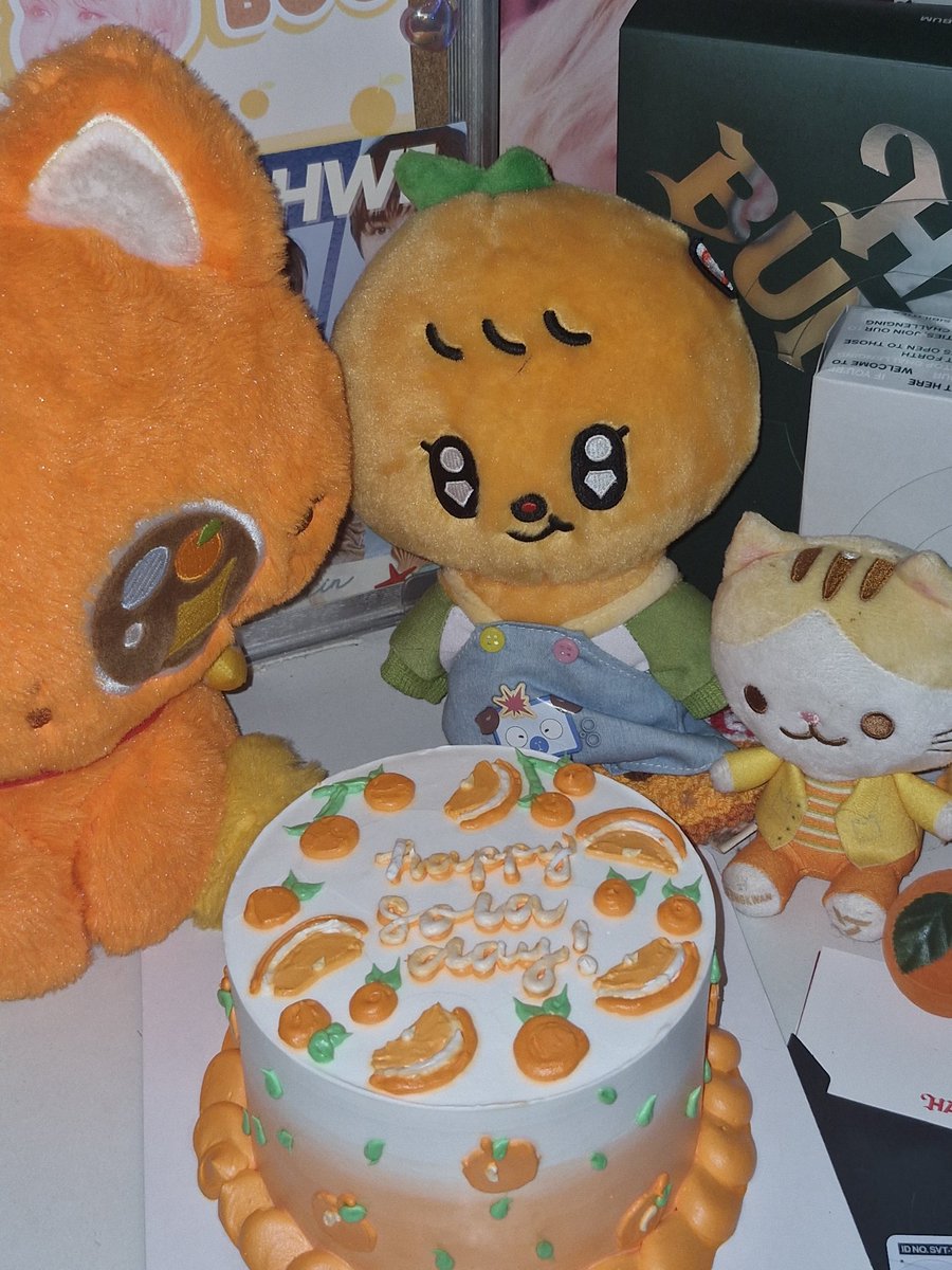 solana 🌻🍊 tweet media