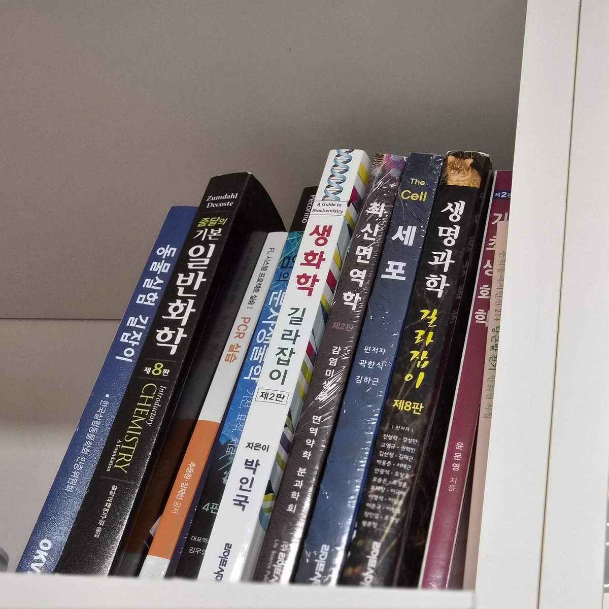 🧠리보솜🧠 tweet media