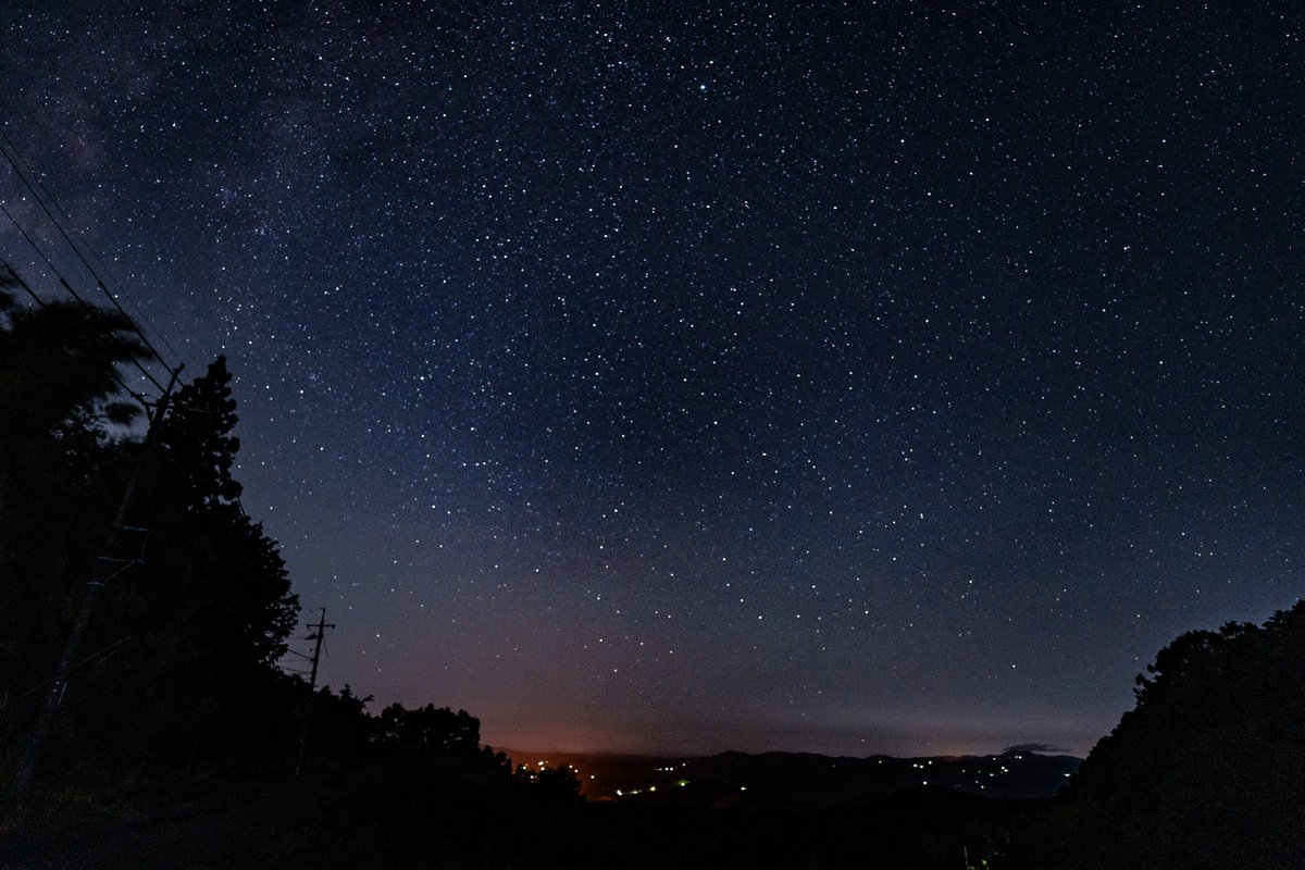 あさくら(Asakura) tweet media