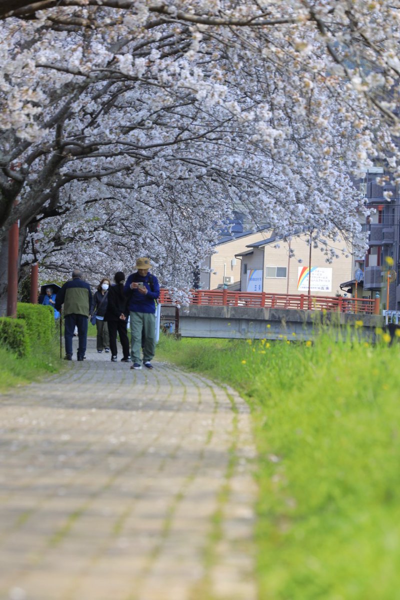 日の丸🇯🇵絶景でチョメり隊🙋 tweet media