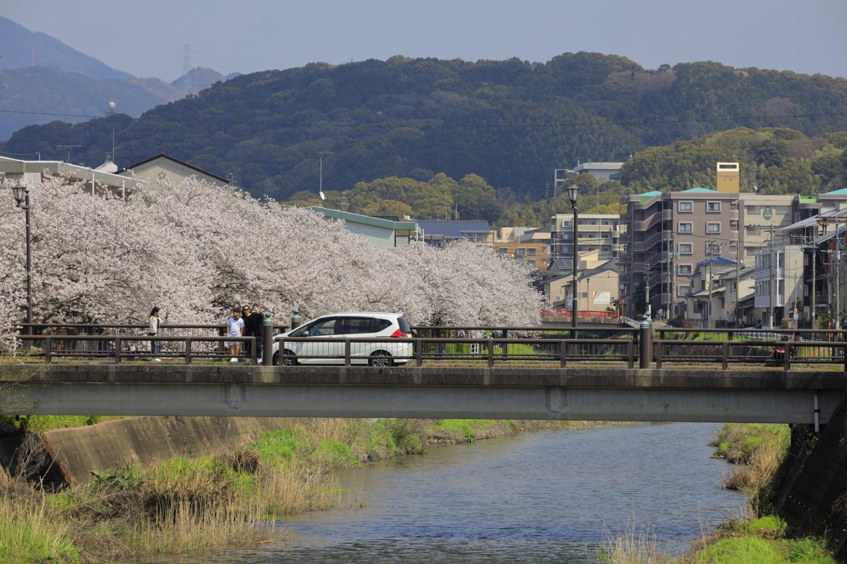 日の丸🇯🇵絶景でチョメり隊🙋 tweet media