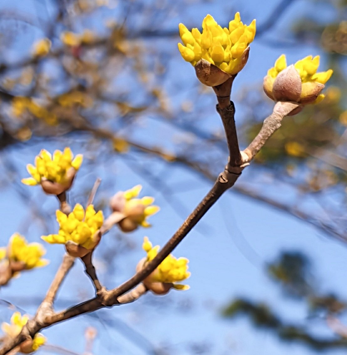 타인_☁️ tweet media