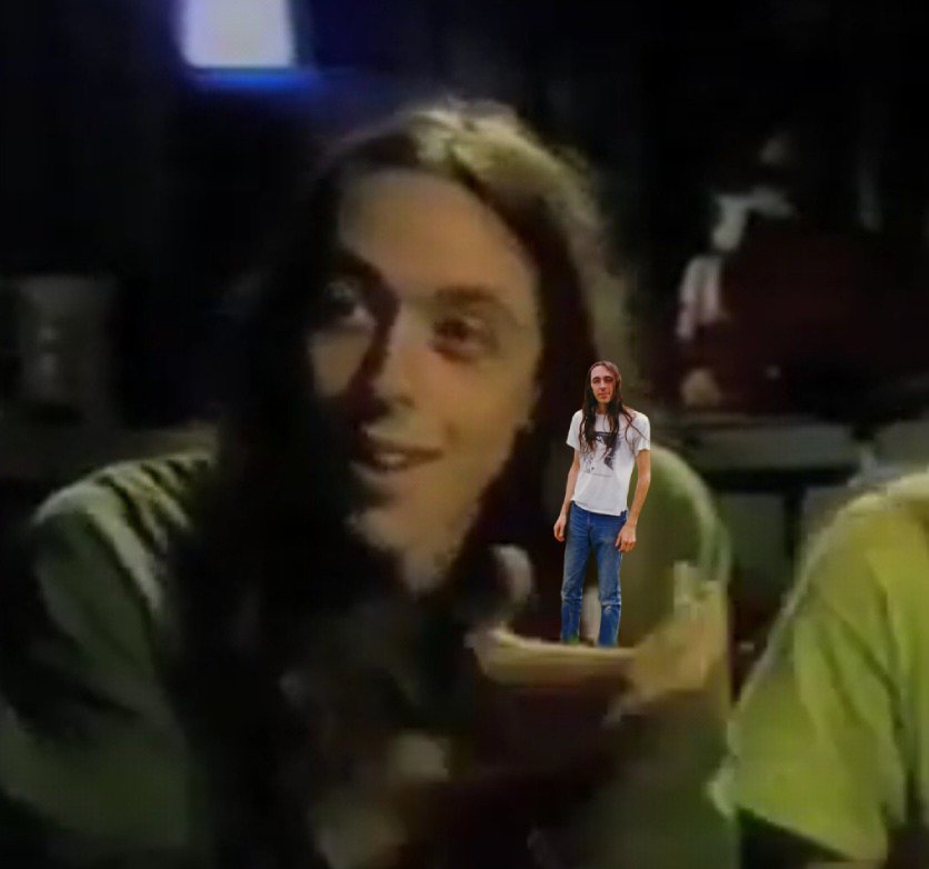 🐻‍❄️ Ursus maritimus 🐻‍❄️ tweet media