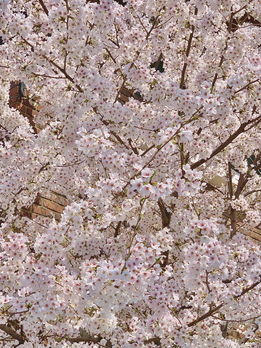 초람 ˖˚˳⊹ tweet media