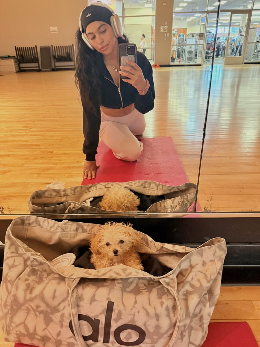 Gitanita tweet media