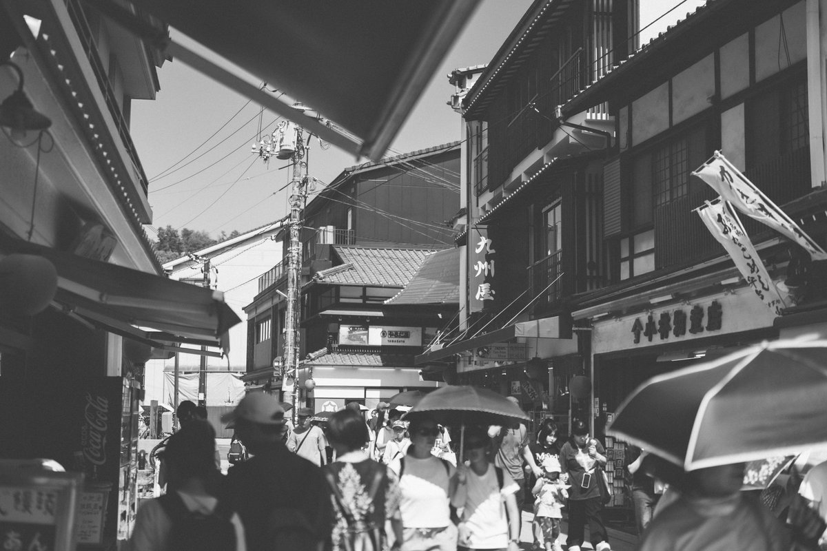 あさくら(Asakura) tweet media