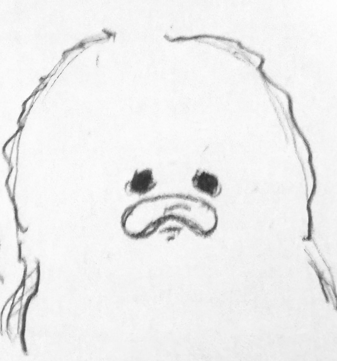 はしゅ　ユニゾンツアー待ち tweet media