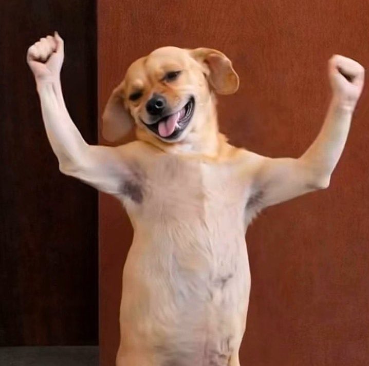 engemma8 tweet media