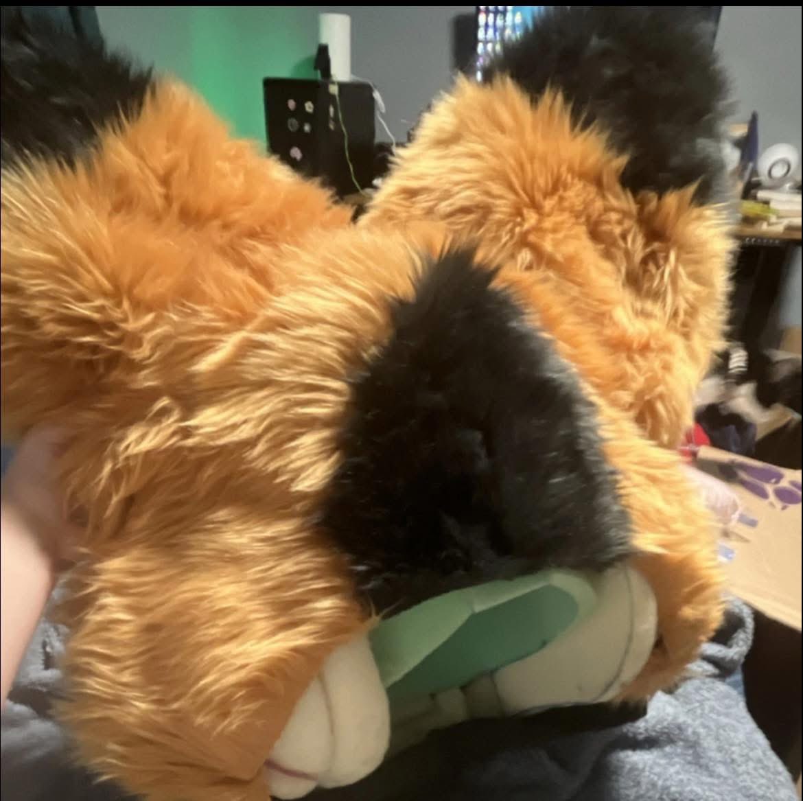 Alex Morningstar 🏳⚧ tweet media