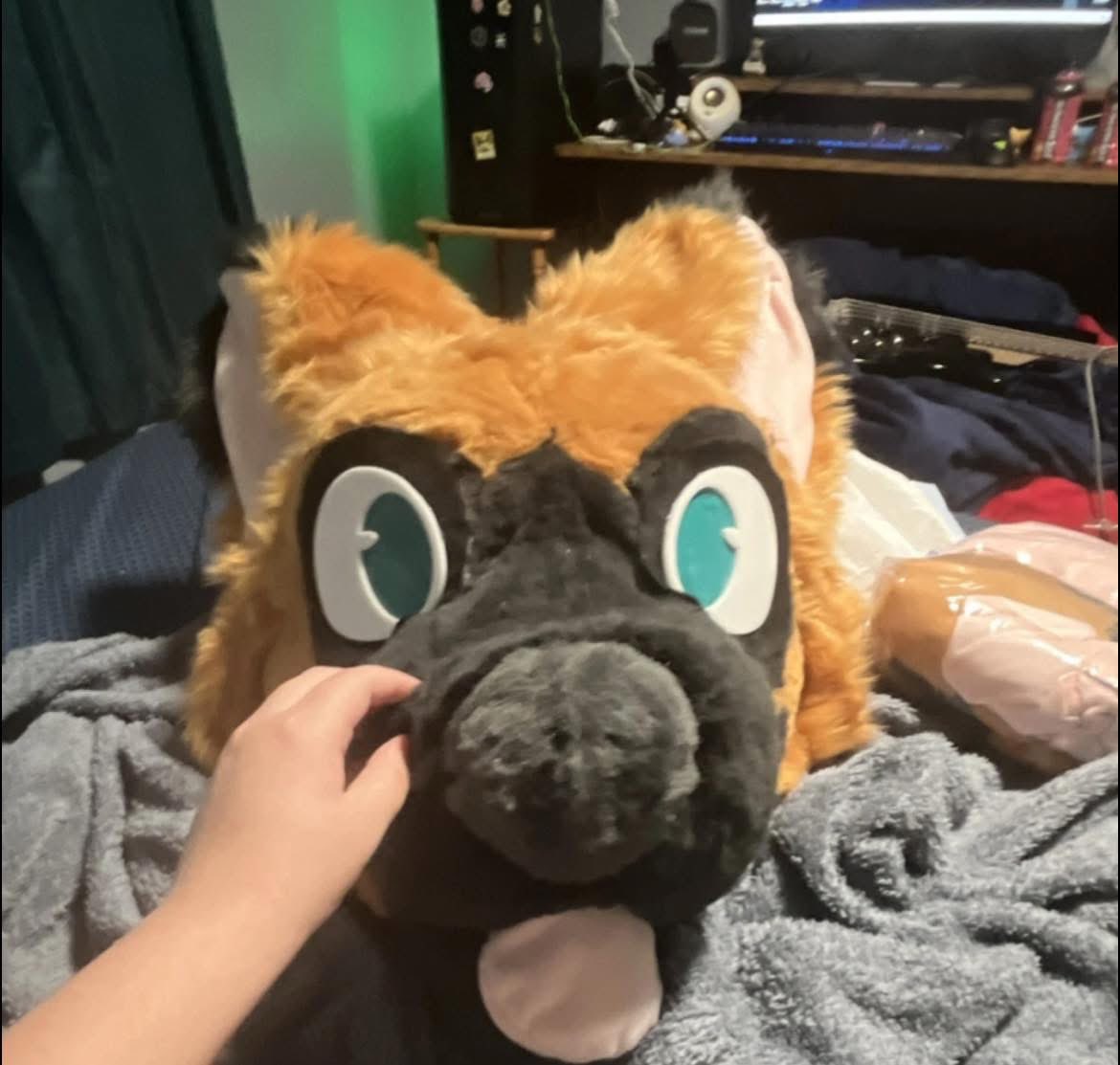 Alex Morningstar 🏳⚧ tweet media